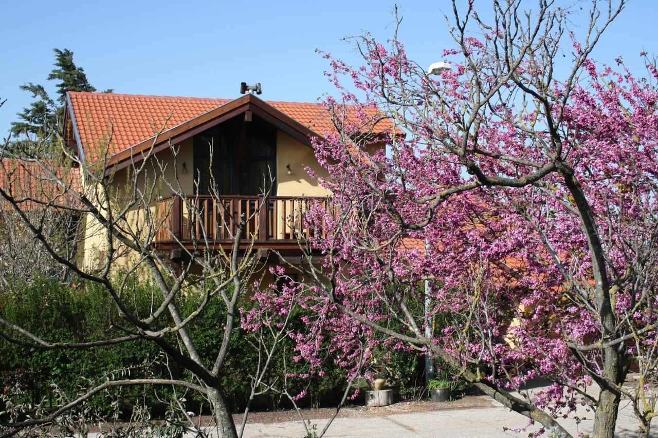 Suzanna In Odem Villa Екстериор снимка