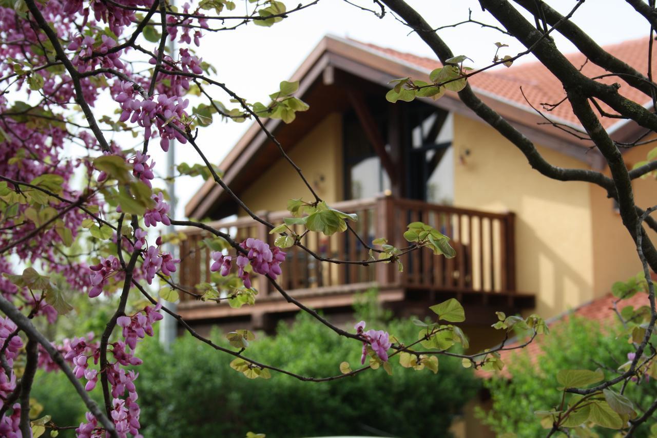 Suzanna In Odem Villa Екстериор снимка